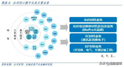 賽伍技術(shù) 技術(shù)平臺型企業(yè)爆款產(chǎn)品不斷,新能源膜材長坡厚雪